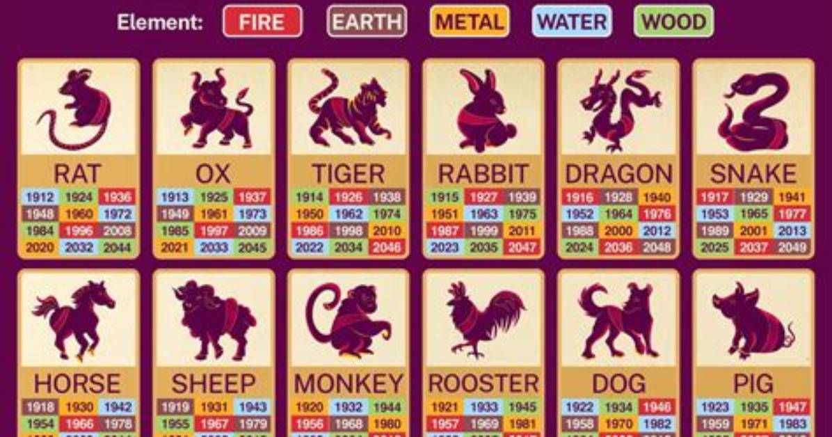 2006 Chinese Zodiac Chart: Element, Birth Dates, and Complete Compatibility Map