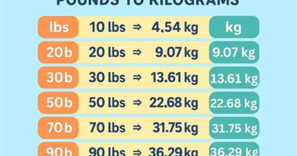 45 Kilograms vs 99.2 Pounds: Fact-Checking Bop Weight Penalties and Weight Cut Myths