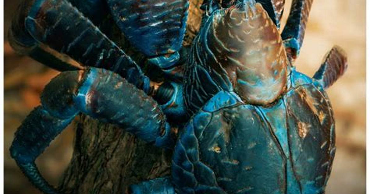Are Coconut Crabs Poisonous? Fact-Checking Toxicity, Lethal Cases, and Safe Consumption