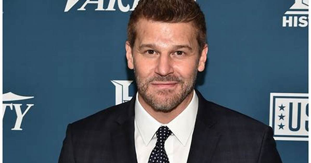 Breaking Down David Boreanaz’s Real Net Worth: Tv Salaries, Royalties, and Assets