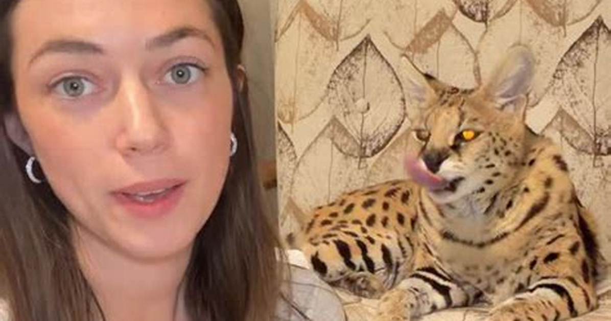 Chloe Amau Viral Trend Fact-Check: Real Creator Footage or Algorithmic Clickbait?