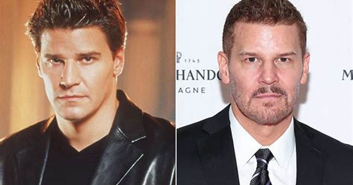 Did David Boreanaz Ever Serve in the Military? the Truth Behind the Seal Team Star
