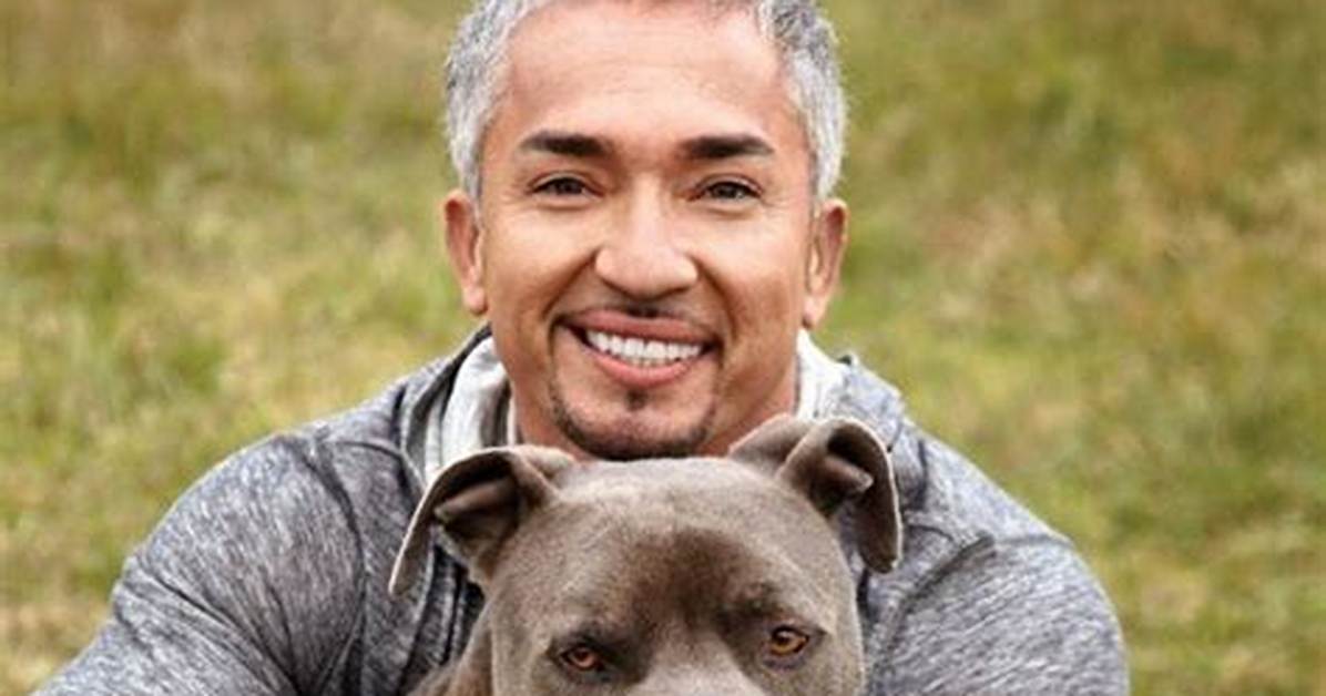 Dog Whisperer Tragedy Fact Check: Debunking Viral Claims and Lethal Attack Rumors