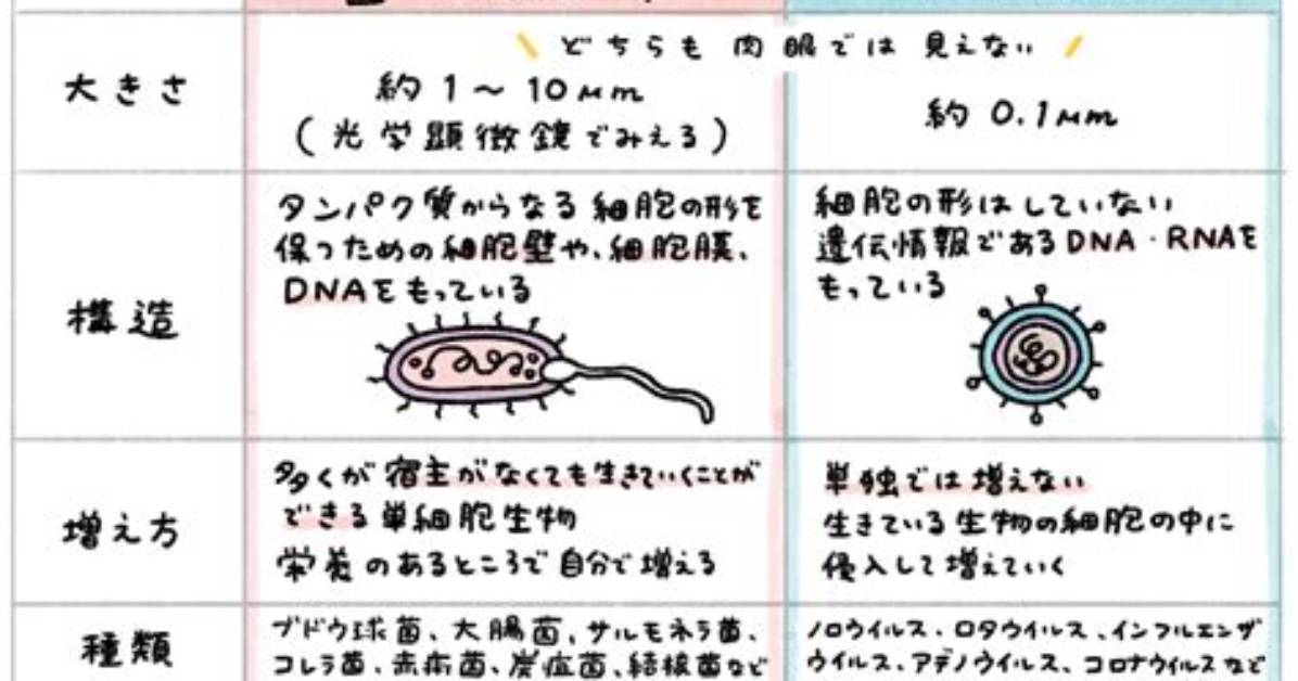 E7 8C Ab E3