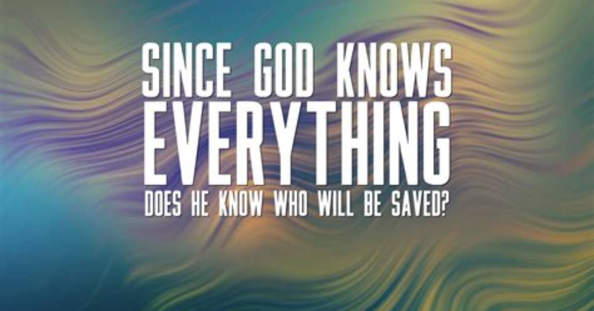 Everything to Know