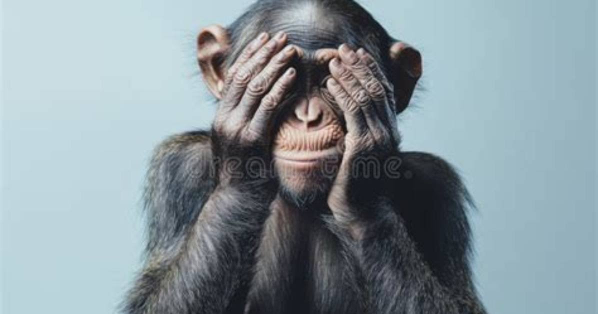 Fact Check: Is the Monkey Covering Eyes Emoji with 'Thanks' Flirting, Politeness, or an Inside Joke?