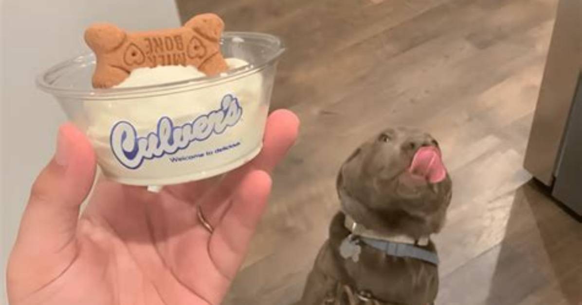 Fast Food Chains Expand Dog Treat Menus in 2026: Where Does Mcdonald's Stand?