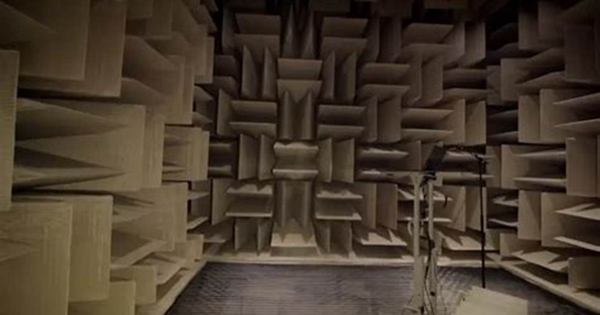 Hear the Proof: Official Audio and Records Confirming the Real Pronunciation of Shein