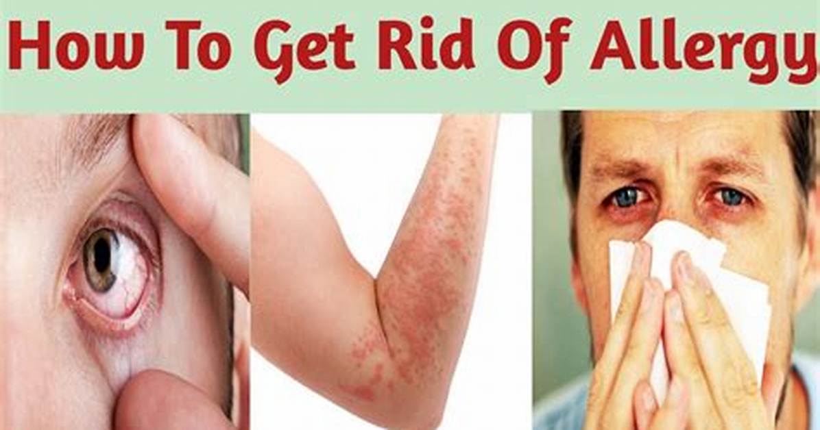 How to Get Rid of an Allergic Reaction on Your Face Fast: Expert Sos Guide