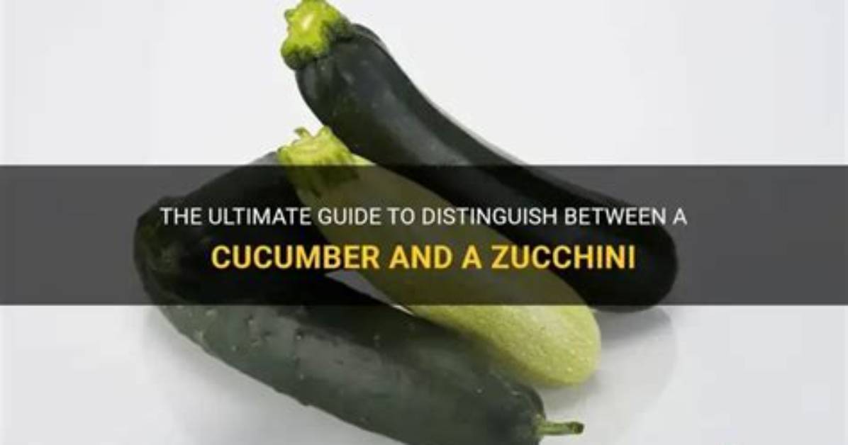 How to Tell Zucchini and Cucumber Apart Instantly: 5 Visual Clues