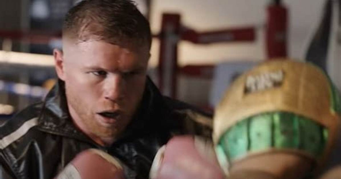 Inside Canelo C3