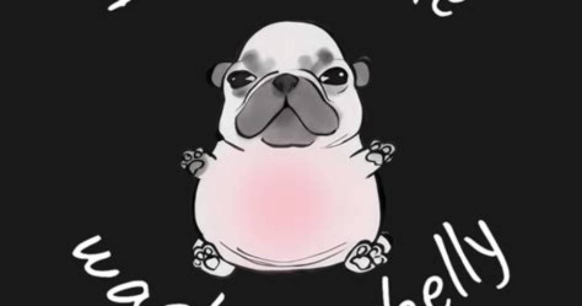 Inside the 'Pibble Wash My Belly' Meme: Watch the Original Videos Behind the Sound