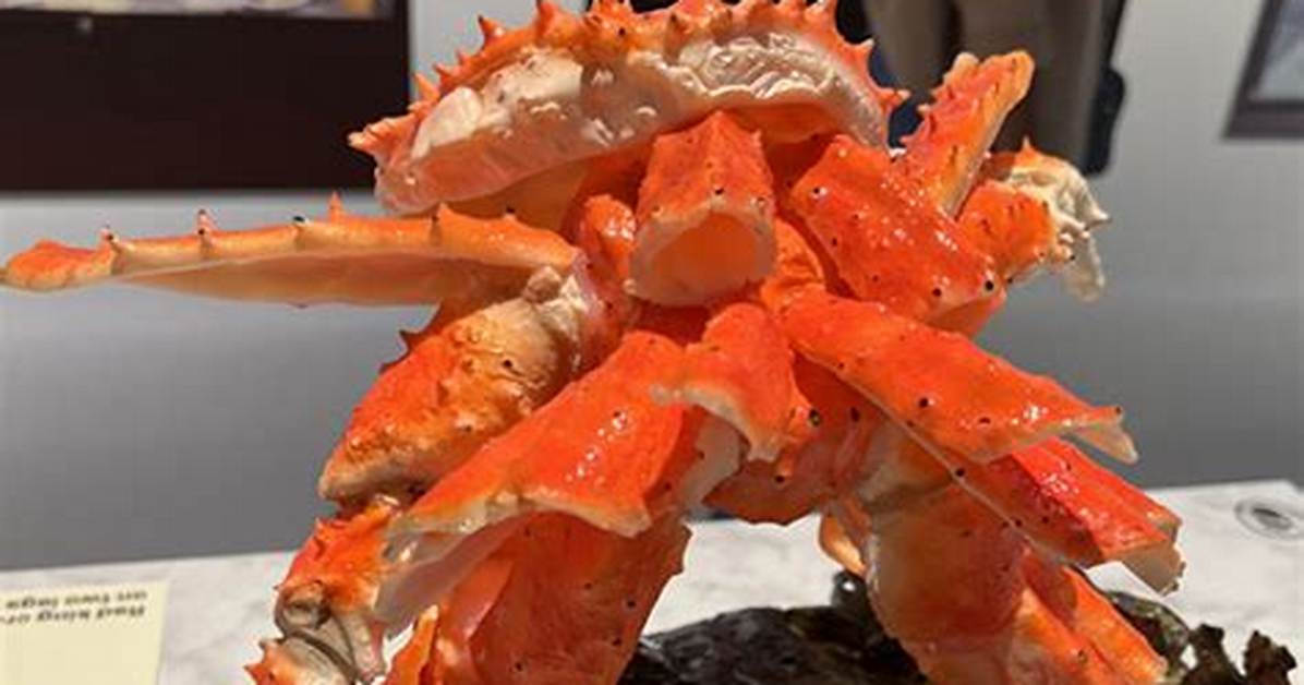 Looks Delicious! the Art of Shokuhin Sampuru and Japan's Hyper-Realistic Food Craze