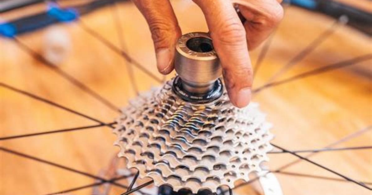 Mafia Bike Cassette Teardown: Visual Guide to Removing Stuck Drivers