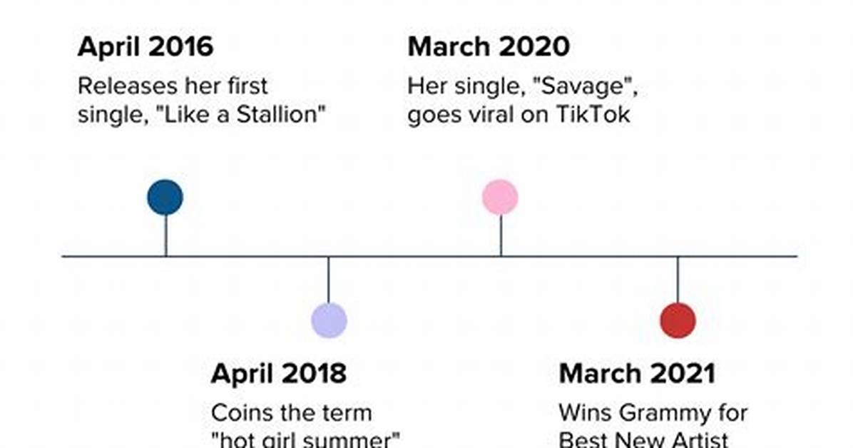 Megan Thee Stallion Viral Timeline: Tracking Her Most Energetic Public and Stage Appearances