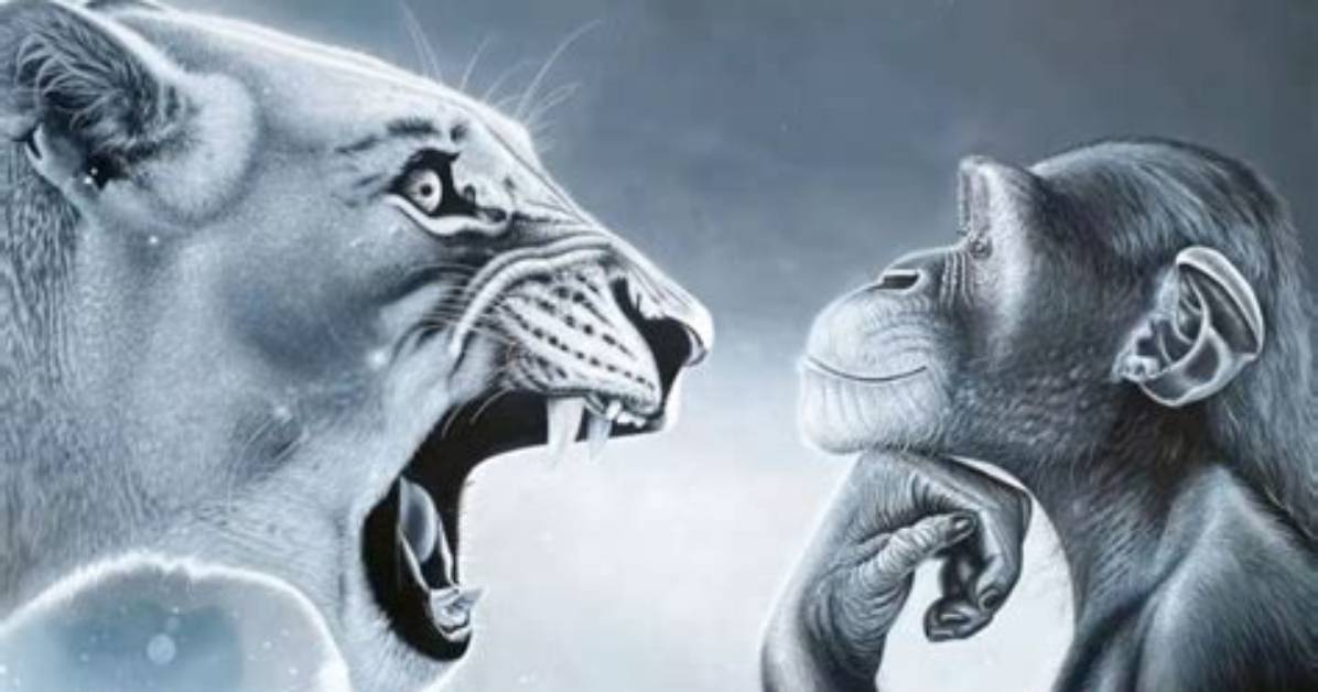 Monkey vs Lion Visual Breakdown: Real Encounters vs Stunning Primate Species