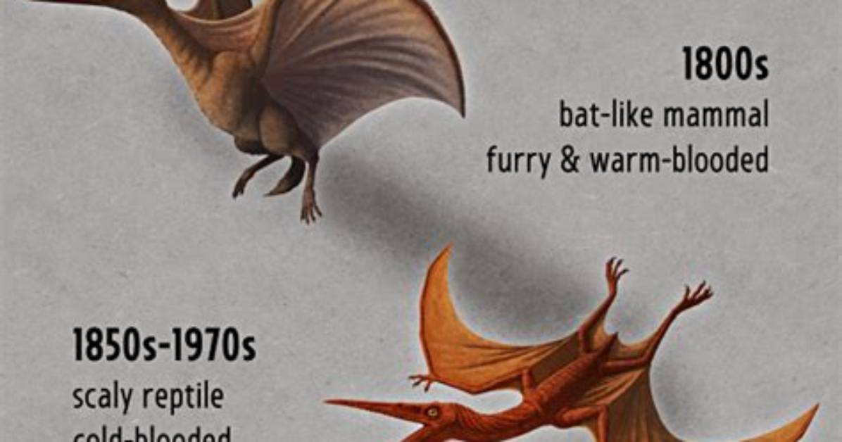 Pteranodon vs Pterodactyl: the Definitive Guide to Flying Prehistoric Reptiles
