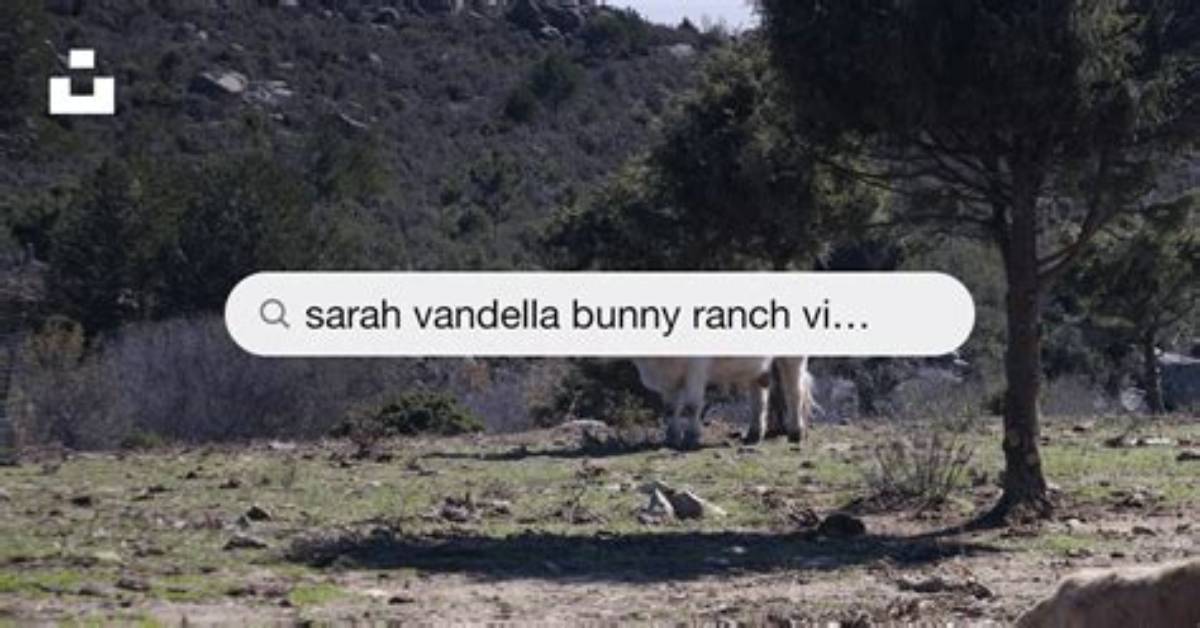 Sarah Vandella at Mustang Ranch: Official Booking Proof, Lineup Status, and Verified Updates