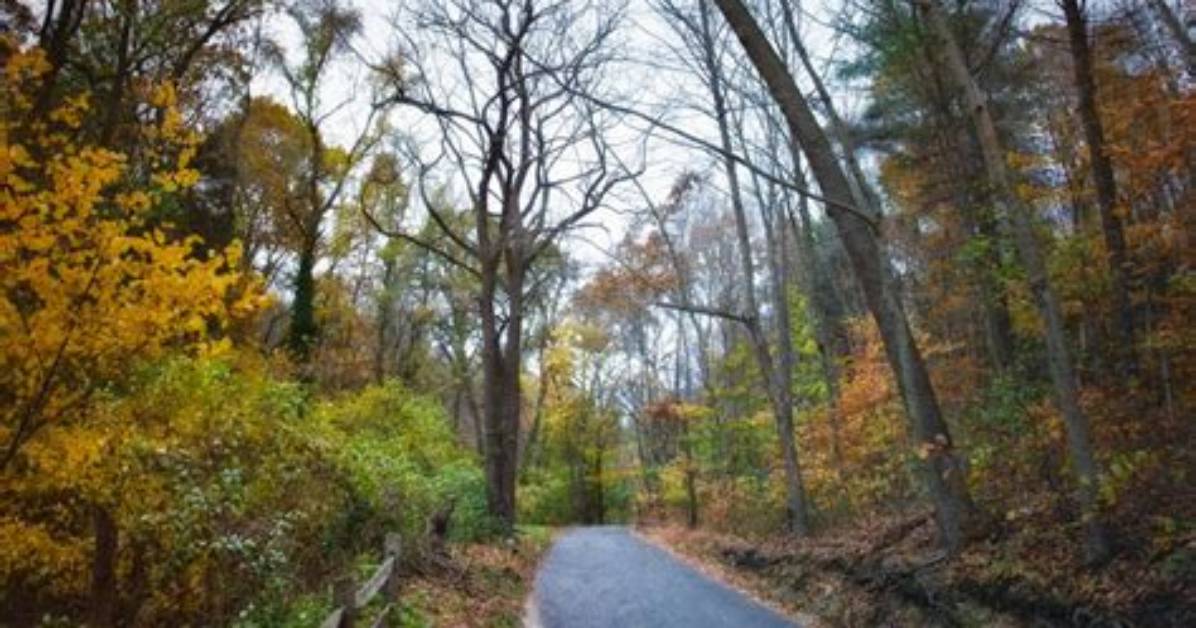 Sweet Hollow Road Today: Community Preservation, Safety Alerts, and Local News
