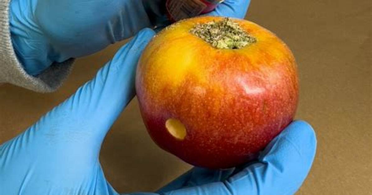 The 2-Minute Apple Pipe Hack: Why Millions Are Ditching Glassware for Fruit