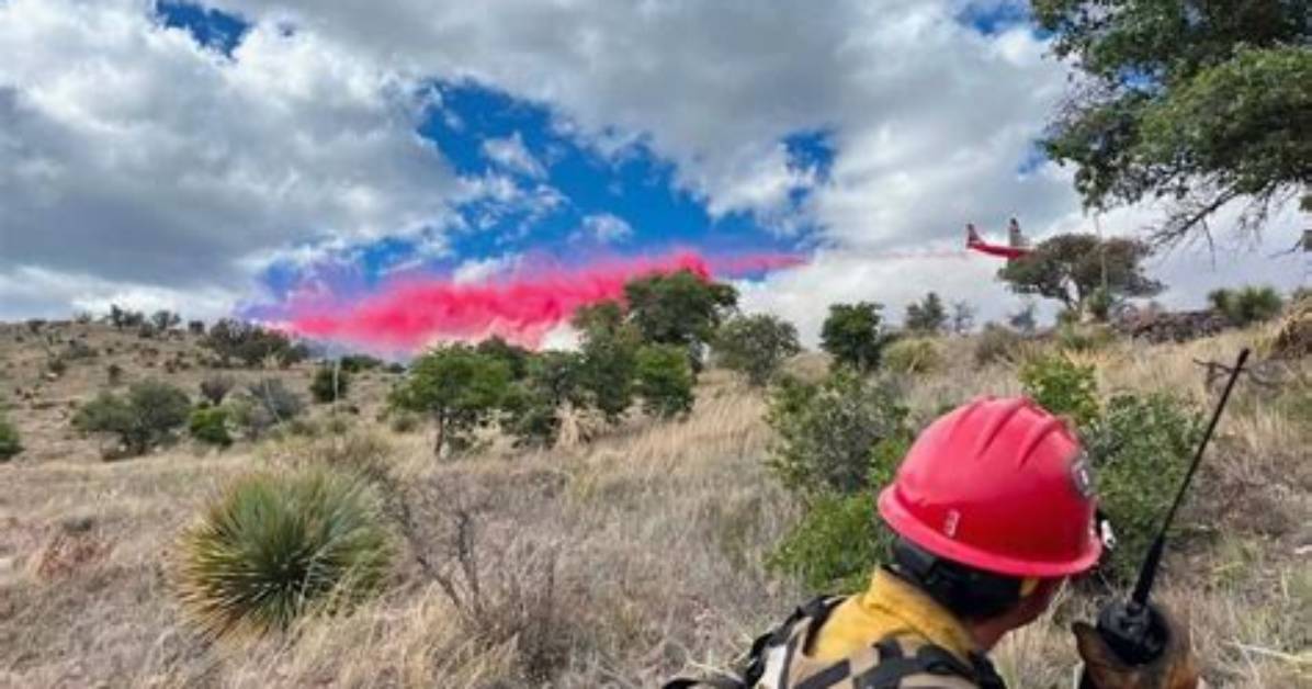 The Latest Viral Surge of Grand Canyon Jokes Taking over Social Media Feeds
