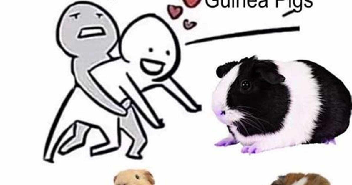 The Los Guinea Pig Meme Explained: Everything to Know About the Trend Taking over the Internet