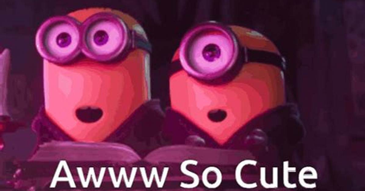 The Ultimate Guide to 'Aww So Cute' Content: Top Subreddits, Creators, and Feel-Good Feeds to Follow