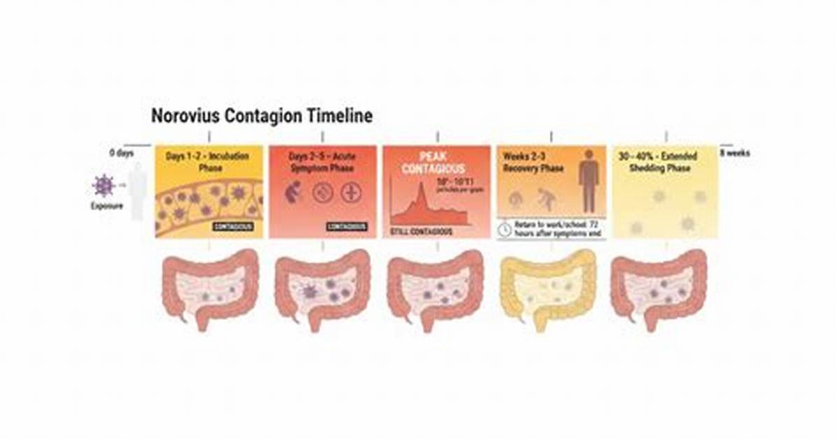 Timeline of a Viral Surge: How a Brief Tiktok Video Ignited a Mass Web Search