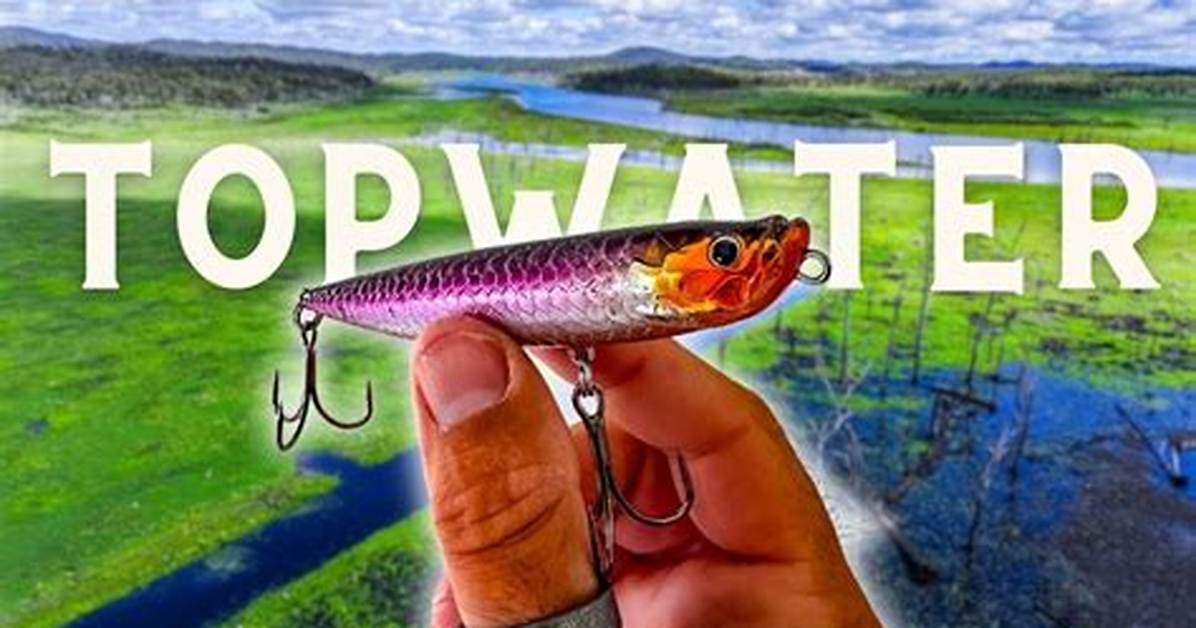 Topwater Strike Test: Visible Proof Showing Why Braided Line Triggers More Explosive Hooksets