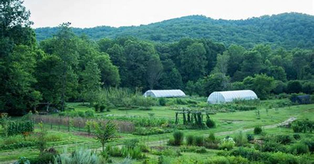 What Sets Blackberry Farm Apart? the True Cost, Legacy, and Reality Behind the Hype