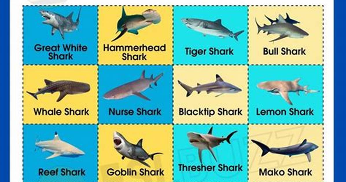 What Species Are the Fish in Shark Tale? Breaking Down Real Marine Biology