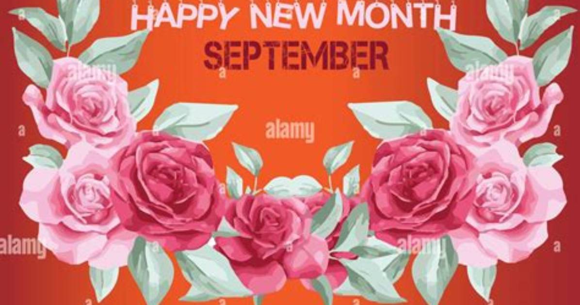 Why Everyone Is Counting Down to September 4Th: the Late Holiday Surge