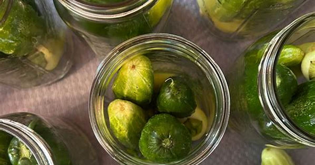 Why ‘Pickle’ Is Suddenly Trending Across Spain: from Tapas Jars to Ppa Tours