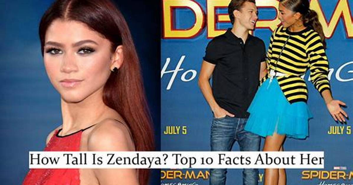 Zendaya's Height in Photos: Side-by-Side Red Carpet Comparisons That Settle the Debate